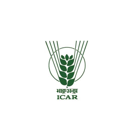 Client Logo 24